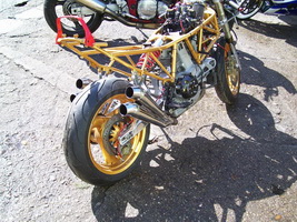 sportdob